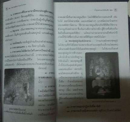 หนังสือ ถ้ำพุทธศาสนาในอินเดีย