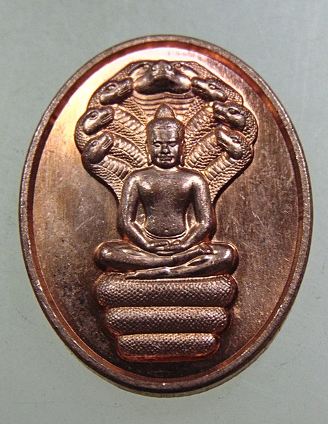 ๒๐ เหรียญพระนาคปรกเล็ก เศรษฐีเรือทอง