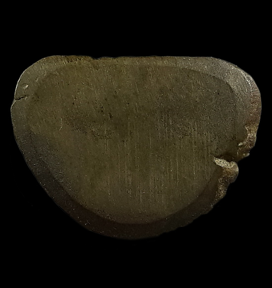 รูปหล่อครูบาเปิ้น วัดดอนมูลชัย จ.ตาก ปี39 