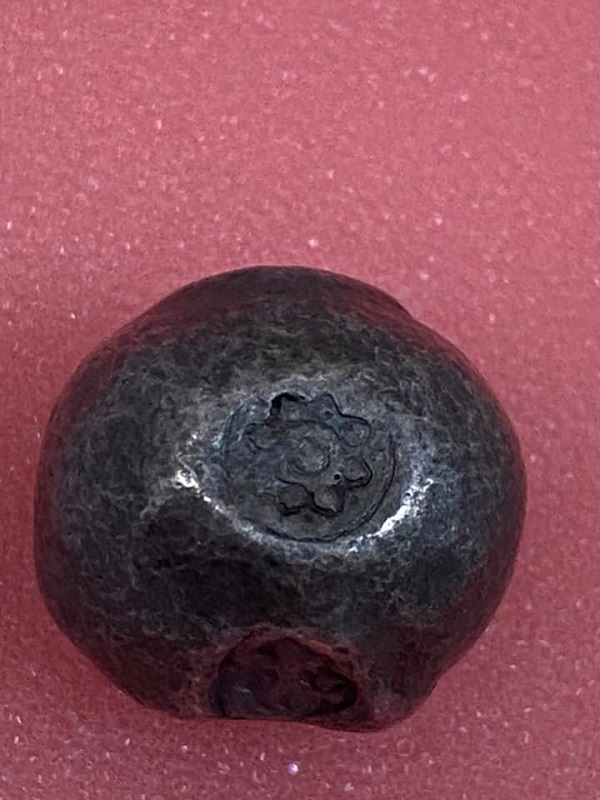 พดด้วงสมัยอยุธยา ตราครุฑ ยุคต้น หนัก1บาท สภาพสวยมาก หายาก