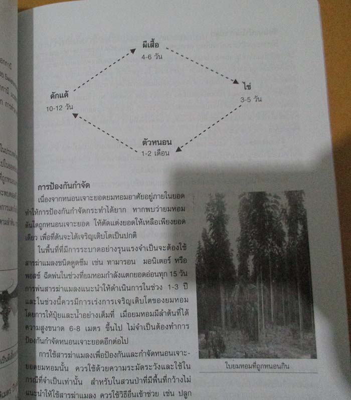  	 หนังสือ การปลูกและดูแลรักษาสวนป่า ไม้ยมหอมไม้เศรษฐกิจสร้างเงินล้าน
