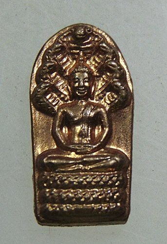 ๒๐ พระนาคปรกใบมะขามรุ่นเศรษฐี ๑๐๐ ปี หลวงปู่ทิม วัดพระขาว จ.อยุธยา ปี ๕๖