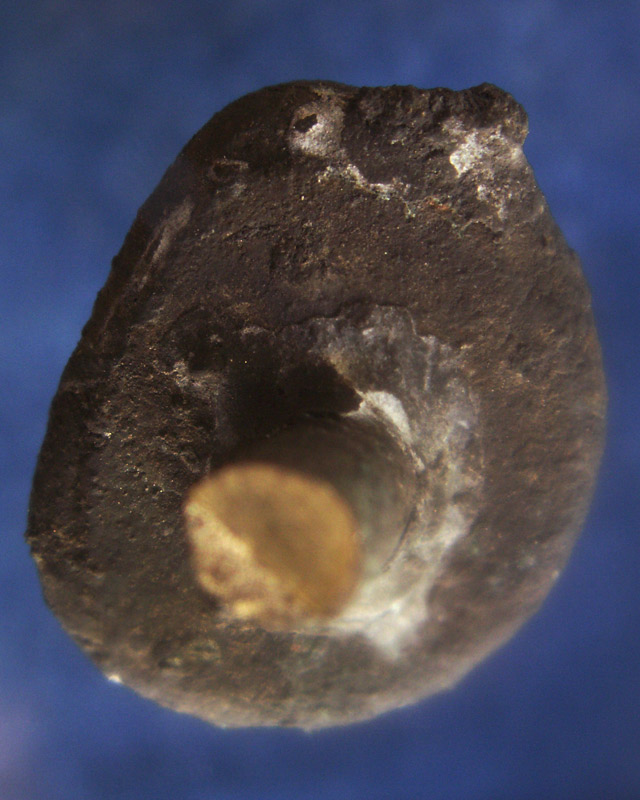 แท้ๆ จากวัด !! รูปหล่อหลวงพ่อเงิน รุ่นปืนแตก วัดคงคาราม (บางคลานใต้) ตัดจากช่อกรรมการ (3)