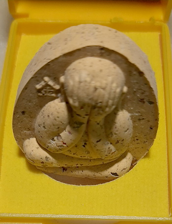 พระปิดตาจัมโบ้ปลดหนี้ หลวงพ่อทอง ศิษย์เอกหลวงพ่อคูณ วัดบ้านไร่ พร้อมกล่องเดิม รุ่นคูณทองเงินล้าน