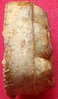 *ปิดตามหาเสน่ห์ ยันต์พุทโธ ปี๒๕๒๑ หลวงปู่โต๊ะ วัดลาดปลาเค้า เนื้อน้ำตาลปี๊บ*