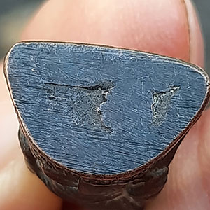 รูปหล่อหลวงพ่อแย้ม วัดด่านสำโรง สมุทรปราการ ปี ๒๕๓๐