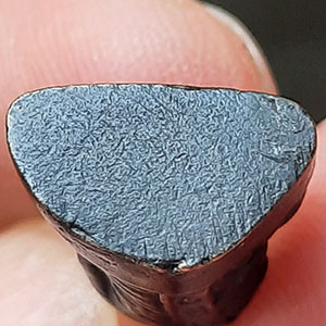 พระรูปหล่อหลวงพ่อทบ ไม่ทราบที่