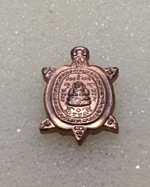 เต่าจิ๋ว หนองอ่อ หลวงปู่หลิว วัดไร่แตงทอง42