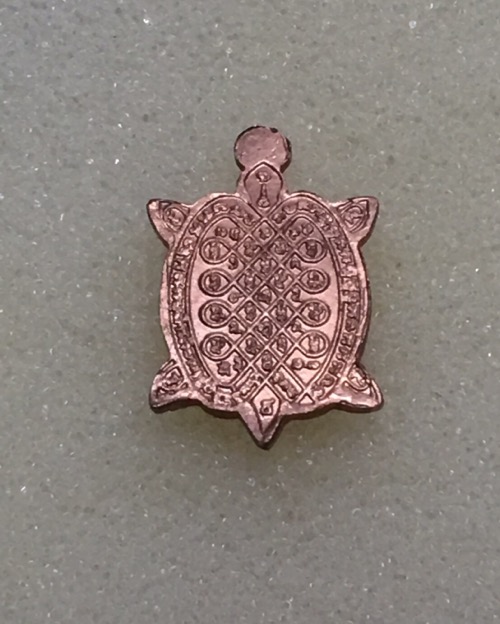 เต่าจิ๋ว หนองอ่อ หลวงปู่หลิว วัดไร่แตงทอง42