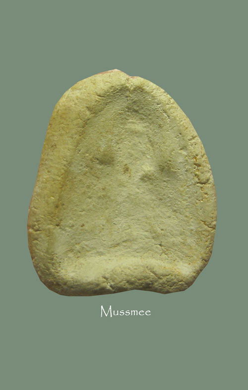 พระกรุวัดคลองขอม พิมพ์พระปิดตา หลวงปู่ศุข ปลุกเสก พระสวยยยยยยยยย### เคาะเดียว ###