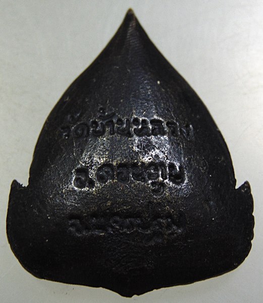 เหรียญหล่อหลวงพ่อบัว วัดบ้านหลวง จ.นครปฐม