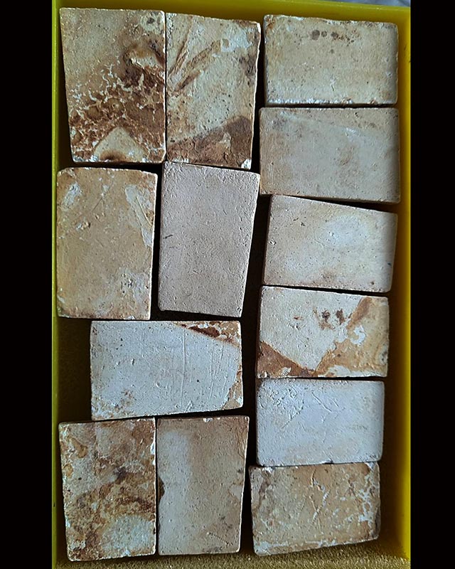 สมเด็จหลวงปู่ลำภู วัดใหม่อมตรส ลงกรุ ยุคต้น ปี 2502 ยกกล่อง 13 องค์ พร้อมใบประกาศ 12 ใบ