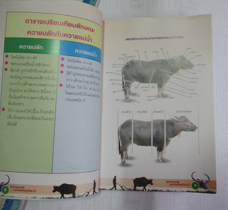 หนังสือ ลุ่มน้ำสะแกกรังกระบือดังอุทัยธานี
