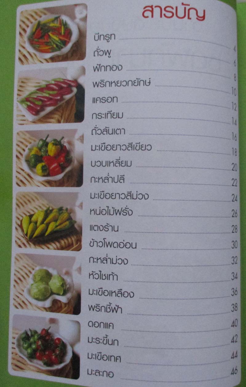  	 หนังสือ งานประดิษฐ์ของจิ๋ว