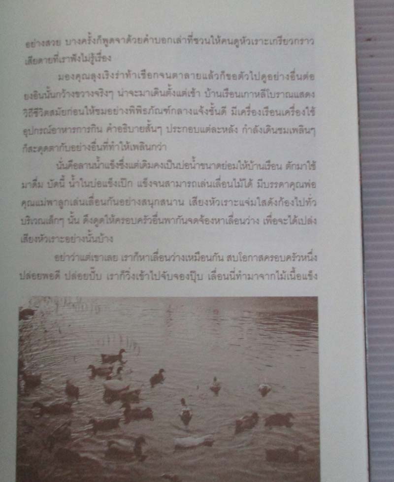 หนังสือ ลมหนาว ภูเขา กิมจิ และ เกาหลีใต้