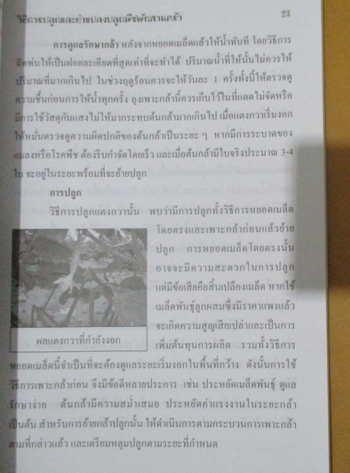 หนังสือ วิธีการปลูกและการทำแปลงปลูกพืชผักสวนครัว