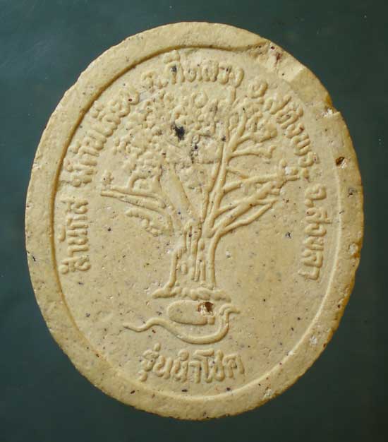 หลวงปู่ทวด นำโชค พ่อท่านเนียน สนส.ต้นเลียบ สงขลา