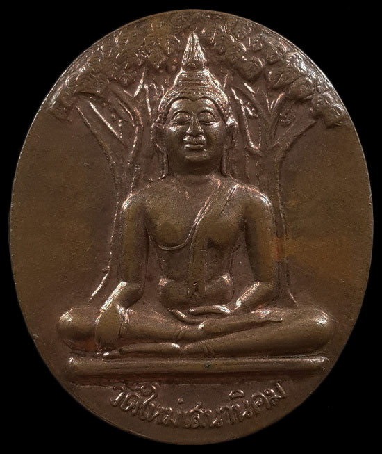เหรียญพระพุทธ หลวงปู่หลอด วัดใหม่เสนานิคม กรุงเทพฯ รุ่นสมโภชปโมทิตะเจดีย์ ปี46