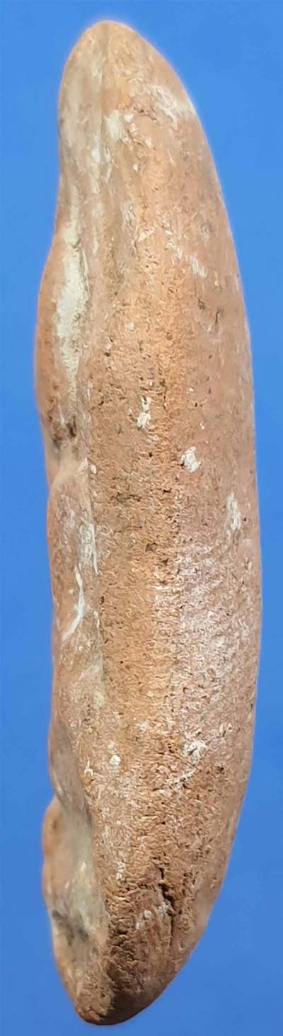 ขายขาดทุนยับ!!!พระขุนแผนไข่ผ่า หลวงพ่อถิร วัดป่าเลไลย์ สุพรรณฯ พ.ศ.๒๕๐๐+บัตรรับรองพระแท้*72