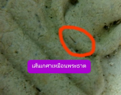 สมเด็จคะแนนหลวงปู่แก้ว วัดระหารไร่ มีเกศา ติดตรงพระหัตถ์(มือ) มาพร้อมบัตรตรวจสอบพระแท้