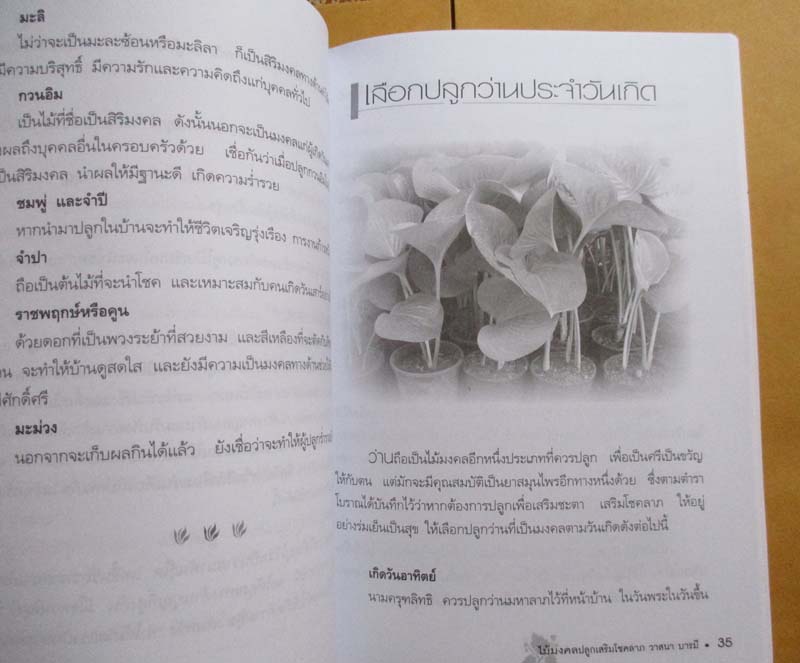 หนังสือ ไม้มงคลปลูกเสริมโชคลาภ วาสนา บารมี
