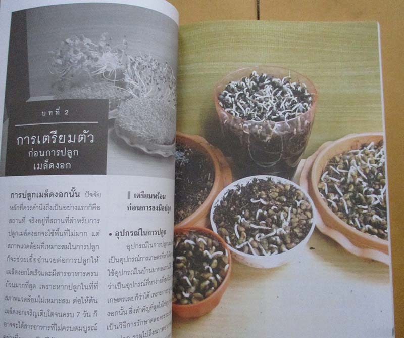  	 คู่มือเกษตรกรรมปลูกพืชแนวใหม่ เมล็ดงอก