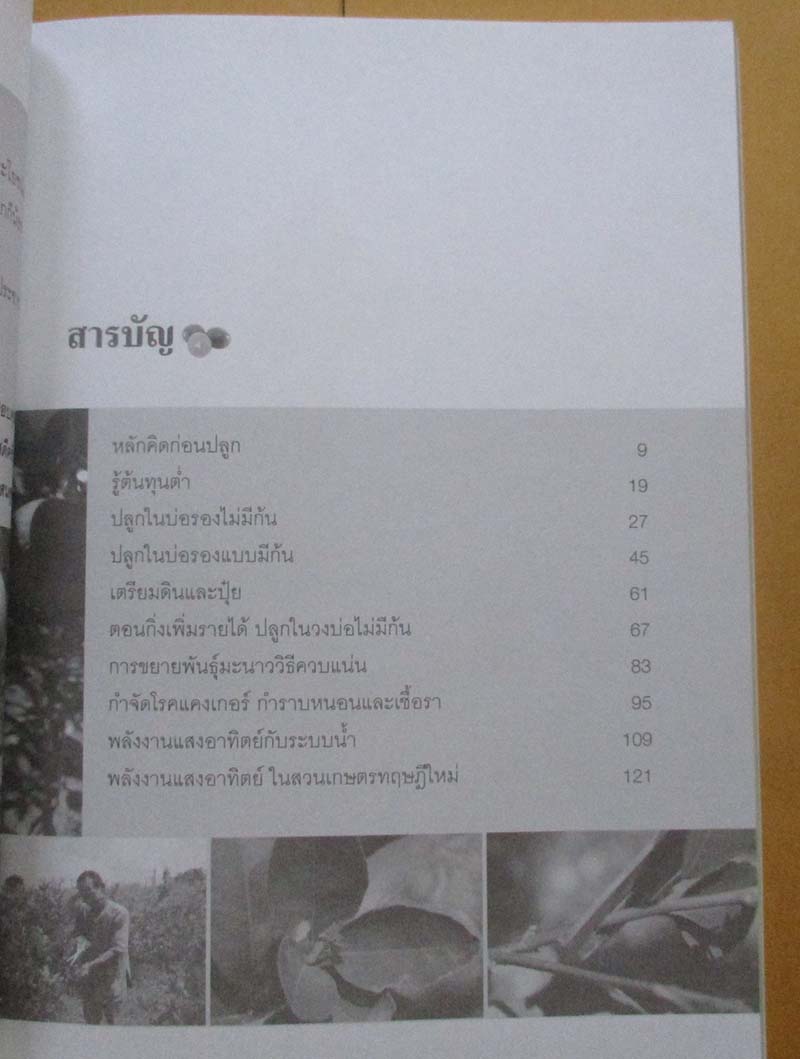 	 หนังสือมะนาวต้นทุนต่ำ