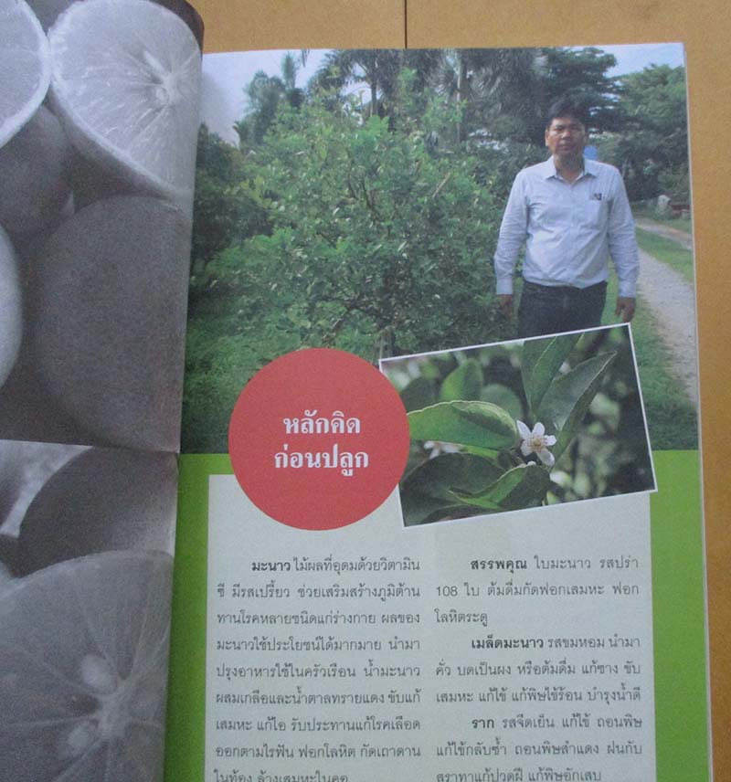  	 หนังสือมะนาวต้นทุนต่ำ