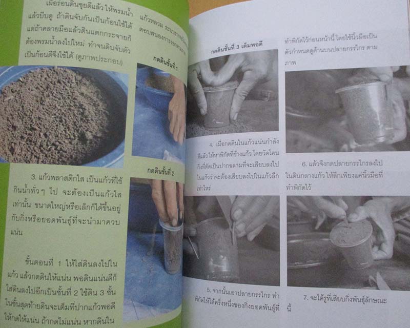  	 หนังสือมะนาวต้นทุนต่ำ
