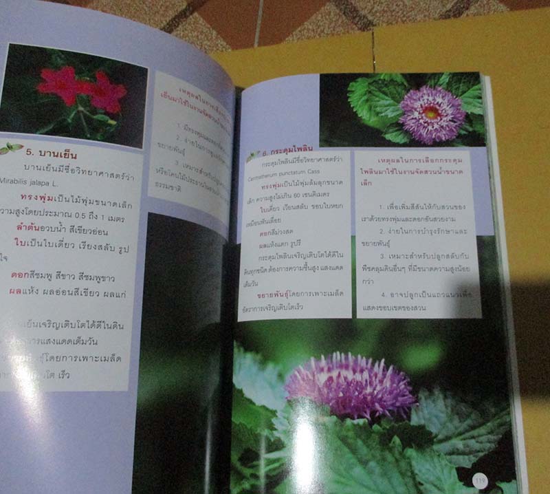  	 หนังสือ สวนน้ำในบ้าน ภาพสีสวยทั้งเล่ม