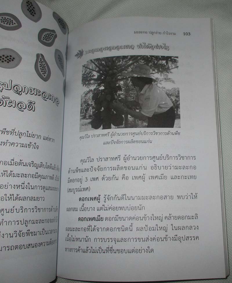  	 หนังสือ มะละกอ ปลูกง่ายกำไรงาม