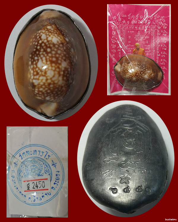 เบี้ยแก้พรายปรอท มูลนิธิหลวงปู่ทิม ปี 2555 อุดผงพรายกุมารคลุกชันโรง หลวงปู่คำบุเสกพิธี 9 ฤกษ์