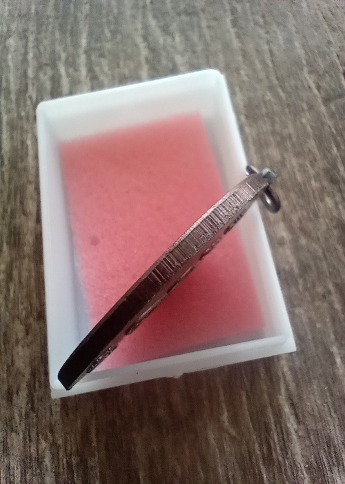 เหรียญไข่ปลา(พินัยกรรม) หลวงปู่นาม วัดน้อยชมพู่ ปี2557