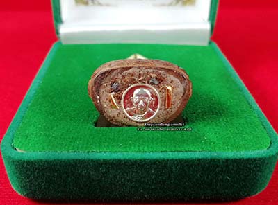 พระกริ่งชินบัญชรนพคุณ หลวงพ่อนพ วัดหนองไร่ ระยอง เนื้อไม้ผยุง ปี 2564