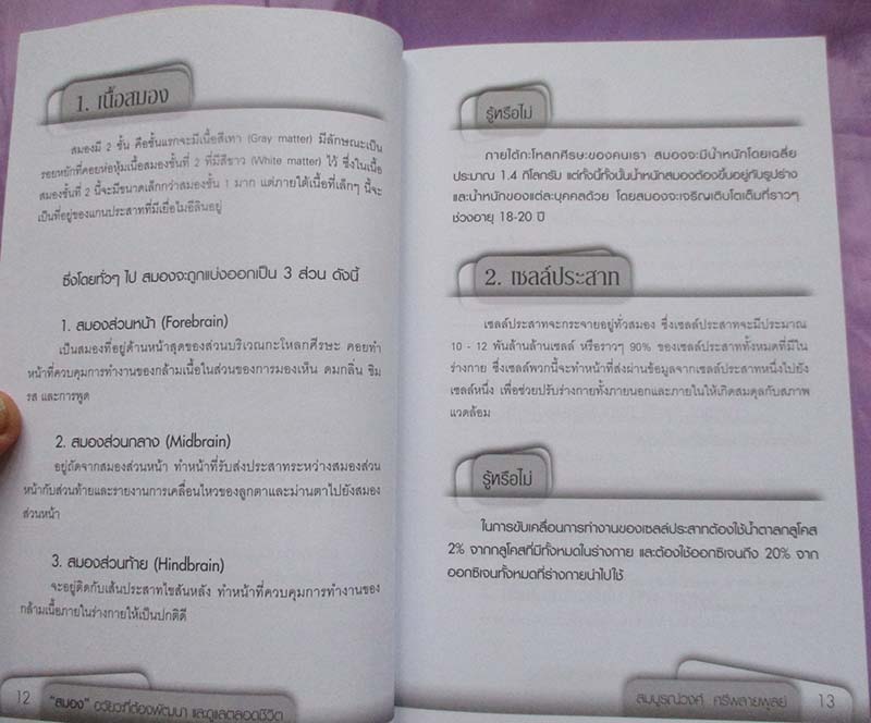 หนังสือ สมองอวัยวะที่ต้องพัฒนาและดูแลตลอดชีวิต
