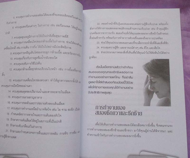 หนังสือ สมองอวัยวะที่ต้องพัฒนาและดูแลตลอดชีวิต
