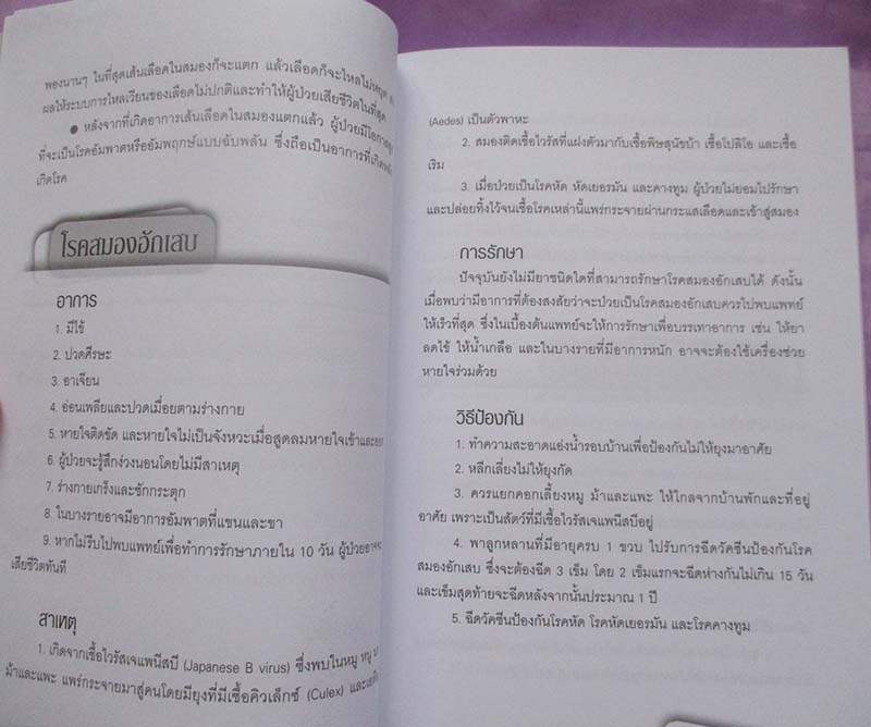 หนังสือ สมองอวัยวะที่ต้องพัฒนาและดูแลตลอดชีวิต