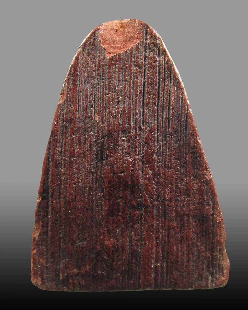  พระรูปเหมือนสมเด็จโต วัดระฆังปี2495 หลวงปู่นาคสรัาง 