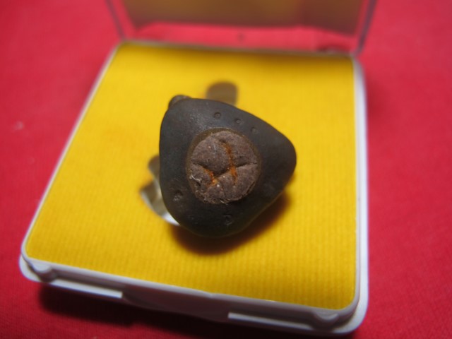 รูปหล่อหลวงปู่สอ ขันติโก วัดโพธิ์ศรี นครพนม เบ้าทุบสภาพสวยเดิมๆแท้ๆ เนื้อฉนวน แจกในพิธี 300องค์ 