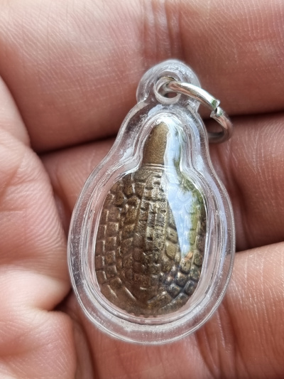 พญาเต่าเรือน รุ่นหนุนดวงรับทรัพย์ วัดท้ายน้ำ เนื้อชนวน สวยมาก