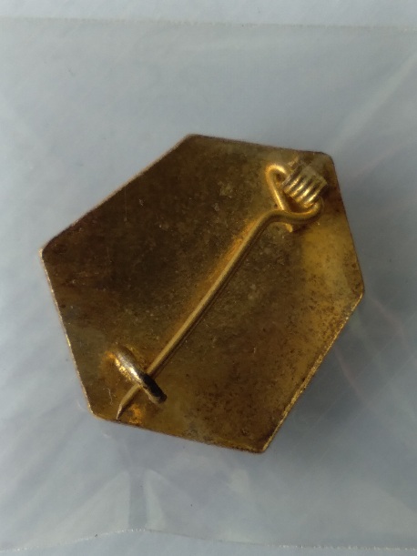 เข็มกลัดตราสัญลักษณ์ ภปร. ครองราช 50 ปี