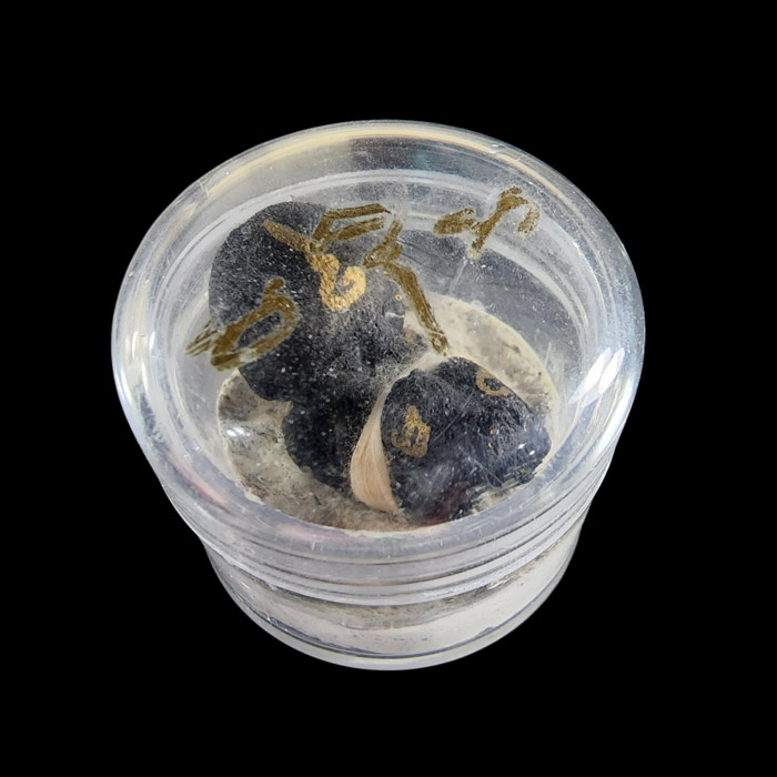 ลูกกรอกพรายดำ หลวงพ่อเมียน วัดบ้านจะเนียงวนาราม จ.บุรีรัมย์ ปี 2556