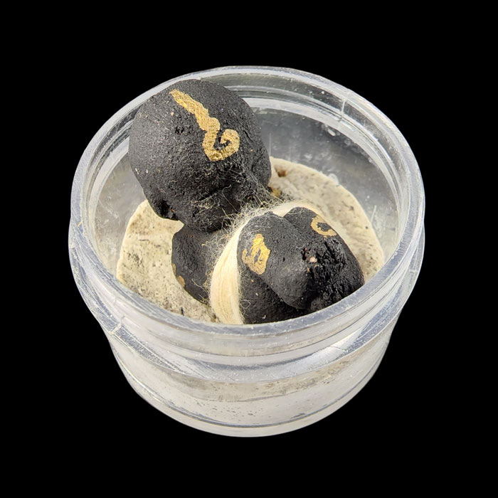 ลูกกรอกพรายดำ หลวงพ่อเมียน วัดบ้านจะเนียงวนาราม จ.บุรีรัมย์ ปี 2556