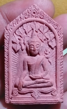 พระปรกโพธิ์เสาร์ห้าหลังรูปเหมือนหลวงปู่นามวัดน้อยชมพู่เนื้อแดง