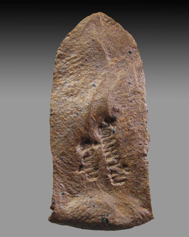 พระรอดมหาวัน พิมพ์อินเดีย วัดมหาวัน รุ่นแรกจ.ลำพูน