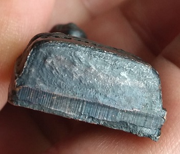 ปั๊มหลังหลังหนังสือ หลวงปูทวดพิมพ์ ปรกโพธ์ ออกวัดพะโค๊ะ ปี2506 จังหวัดสงขลาไม่อุดกริ่ง 