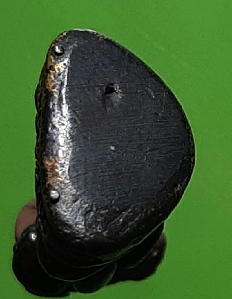 รูปหล่อปรกงู หลวงพ่อสำเนียง อยู่สถาพร วัดเวฬุวนาราม นครปฐม