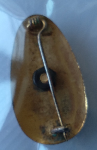 เข็มกลัดตราสัญลักษณ์ ภปร.