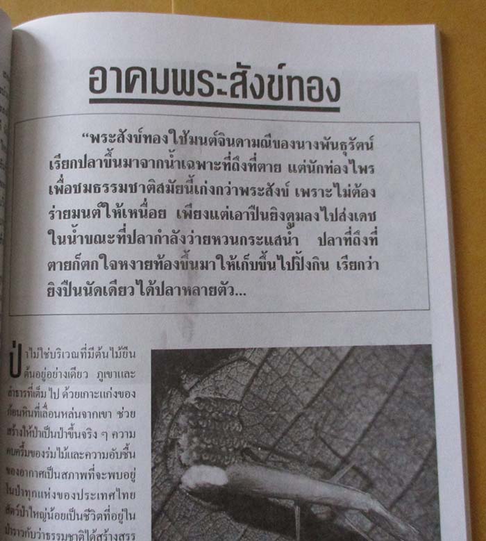  	 หนังสือ ห้วยขาแข้งแดนอาถรรณ์ เล่ม2 เคาะเดียว