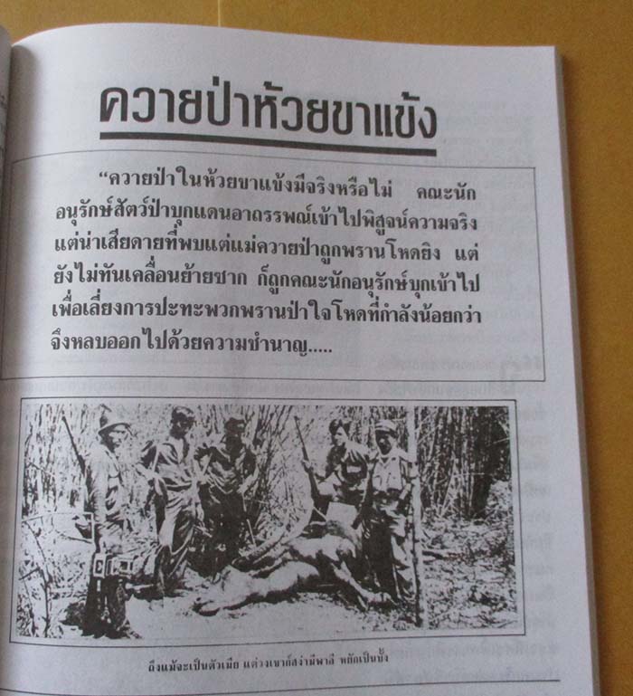  	 หนังสือ ห้วยขาแข้งแดนอาถรรณ์ เล่ม2 เคาะเดียว